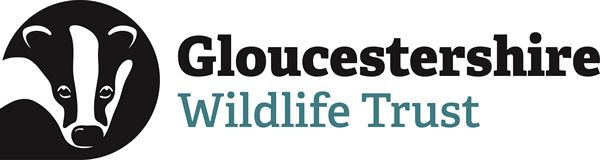168飞艇 9543fb51184549f6a423119005252ab7